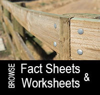 Find a Fact Sheet or Worksheet
